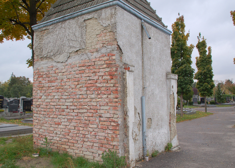 dsc9527.jpg